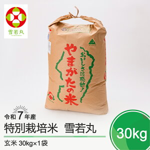 yӂ邳Ɣ[Łz V  ߘa7NY  30kg ΓcY ʍ͔|  Γc Eւ̔zs ja-yugxa30