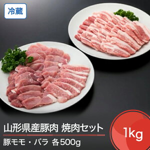 yӂ邳Ɣ[ŁzR`Y ① ؃  o ē Zbg v1000g  Γc ik-bnmbx1000