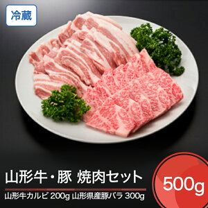 yӂ邳Ɣ[ŁzR` ① Jr  R`Y ؃o ē Zbg v500g  ik-gnkbx500