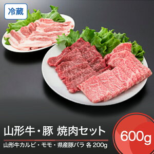 yӂ邳Ɣ[ŁzR` ① JrR`Y؃oēZbg v600g  ik-gnkyx650