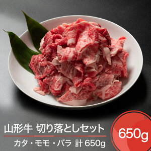 yӂ邳Ɣ[ŁzR` ؂藎Ƃ Zbg v650g  ja-gnkrx650
