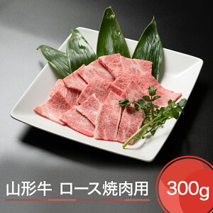 yӂ邳Ɣ[ŁzR` [X ēp 300g  ja-gnlox300