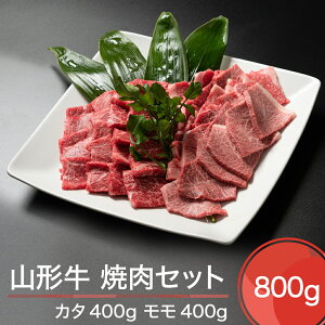 yӂ邳Ɣ[ŁzR` ēZbg v800g  ja-gnysx800
