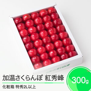 yӂ邳Ɣ[Łz  gG Gi 2L ϔ 300g 2026NY ߘa8NY R`Y  ja-bsk2x300