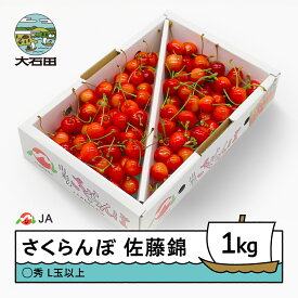 【ふるさと納税】先行予約 さくらんぼ 佐藤錦 ○秀L玉以上 1kgバラ 令和8年産 2026年産 果物 果樹 フルーツ 送料無料 ja-snbax1