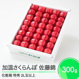 yӂ邳Ɣ[Łz   Gi 2L ϔ 300g 2026NY ߘa8NY R`Y  ja-snk2x300