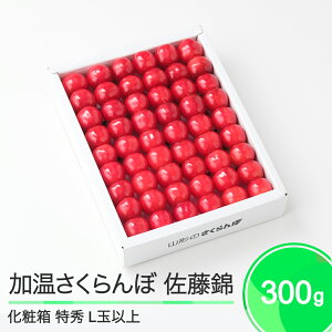 yӂ邳Ɣ[Łz   Gi L ϔ 300g 2026NY ߘa8NY R`Y  ja-snkxx300