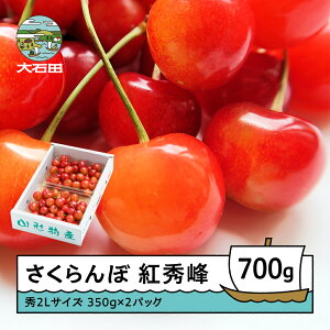 yӂ邳Ɣ[Łz  gG 6{`7{ G2LTCY 700g (350gx2) ol 2026NY R`Y  TN{ ns-bss2b700