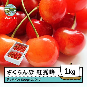 yӂ邳Ɣ[Łz  gG 6{`7{ GLTCY 1kg ol ϔ (500gx2) 2026NY R`Y  TN{ ns-bsslb1