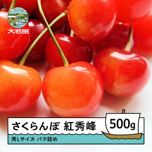 yӂ邳Ɣ[Łz  gG 6{`7{ GLTCY 500g ol 2026NY R`Y  TN{ ns-bsslb500