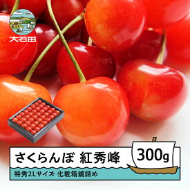 【ふるさと納税】 さくらんぼ 紅秀峰 6月中旬〜7月上旬発送 特秀2Lサイズ 300g プレゼント ギフト 化粧箱鏡詰め 2026年産 山形県産 送料無料 サクランボ ns-bst2x300