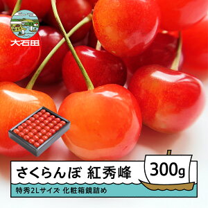 yӂ邳Ɣ[Łz  gG 6{`7{ G2LTCY 300g v[g Mtg ϔl 2026NY R`Y  TN{ ns-bst2x300