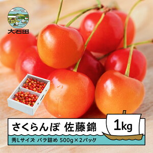 yӂ邳Ɣ[Łz   6{`{ GLTCY v[g Mtg ol 1kg(500g×2pbN) 2026NY R`Y  TN{