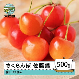【ふるさと納税】先行予約 さくらんぼ 佐藤錦 6月上旬〜下旬発送 秀Lサイズ 500g バラ詰め 2026年産 山形県産 送料無料 サクランボ ns-snslb500