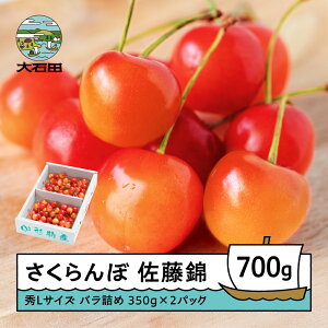 yӂ邳Ɣ[Łz   6{`{ GLTCY ol 700g(350g×2pbN) 2026NY R`Y  TN{