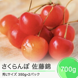 【ふるさと納税】先行予約 さくらんぼ 佐藤錦 秀Lサイズ バラ詰め 700g(350g×2パック) 2024年産 令和6年産 山形県産 送料無料 サクランボ