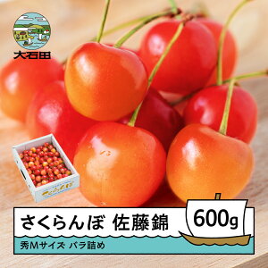 yӂ邳Ɣ[Łz   6{`{ GMTCY ol 600g(600g×1) 2026NY R`Y  TN{ ns-snsmb600