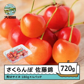 【ふるさと納税】 さくらんぼ 佐藤錦 6月上旬〜下旬発送 秀Mサイズ 720g (180gx4パック) フードパック 2026年産 山形県産 送料無料 サクランボ