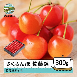 yӂ邳Ɣ[Łz   6{`{ G2LTCY v[g Mtg ϔl 300g 2026NY R`Y  TN{ ns-snt2x300