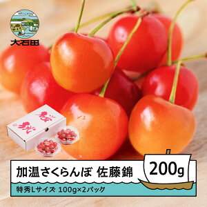 yӂ邳Ɣ[Łz  nEX͔| GLTCY v[g Mtg _CpbN 200gi100g×2pbNj 2026NY ߘa8NY R`Y  ns-sntdp200