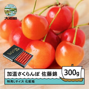yӂ邳Ɣ[Łzs\   GLTCY v[g Mtg ϔl 300g 2026NY R`Y  TN{ ns-sntlx300