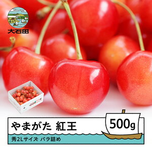 yӂ邳Ɣ[Łz  ܂g 6{ G2LTCY ol 500g(500g×1) 2026NY R`Y  TN{ ns-ybs2b500