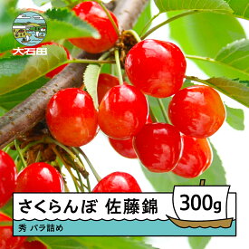 【ふるさと納税】先行予約 さくらんぼ 佐藤錦 秀 300g 2026年産 令和8年産 山形県産 ふるさと納税 果物 くだもの フルーツ 期間限定 冷蔵配送 グルメ 取り寄せ ご当地 特産 産地 直送 東北 山形県 人気 ry-snslb300