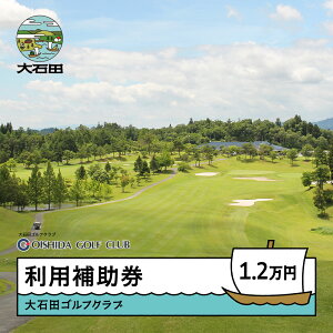 �y�ӂ邳�Ɣ[�Łz�S���t�� ���p�⏕�� ��Γc�S���t�N���u���p�⏕�� 12000�~