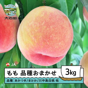 �y�ӂ邳�Ɣ[�Łz�y��s�\��z�� ���� ���� �i�킨�܂��� �ʕ� �t���[�c �������� ��3kg 2026�N�Y �ߘa8�N�Y ja-moxxx3 ������E�����ւ̔z���s��