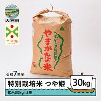 楽天市場】つや姫 玄米 30kgの通販