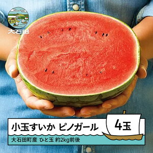 �y�ӂ邳�Ɣ[�Łz������ ���ʂ����� �s�m�K�[�� ��2kg�O��×4�� 2026�N�Y �ߘa8�N�Y �������� �X�C�J �R�`���Y ��Γc���Y mn-sukxx4