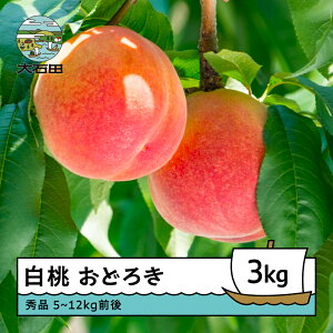 �y�ӂ邳�Ɣ[�Łz��s�\�� ���� �� ���� ���ǂ낫 3kg �R�`���Y 2026�N�Y �ߘa8�N�Y �t���[�c �ʎ� �������� ry-moodx3000