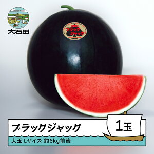 yӂ邳Ɣ[Łz  ubNEWbN L×1ʓ 2026NY ߘa8NY  XCJ ΓcY 8{珇 mn-subjx1