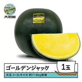 【ふるさと納税】すいか 大玉 ゴールデンジャック 2〜3Lサイズ×1玉 2026年産 令和8年産 8月上旬から順次発送 送料無料 スイカ 山形県産 mn-sugjx2