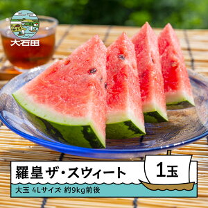 yӂ邳Ɣ[Łz  cUEXEB[g 4L×1ʓ 2026NY ߘa8NY  XCJ ΓcY 8{珇 mn-surox4
