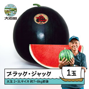 yӂ邳Ɣ[Łz  ubNEWbN 2`3L×1ʓ 2025NY ߘa7NY  XCJ ΓcY 7{珇 gt-subjx2