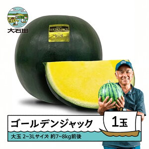 yӂ邳Ɣ[Łz  S[fWbN 2`3LTCY×1 2026NY ߘa8NY 7{珇  XCJ R`Y gt-sugjx2