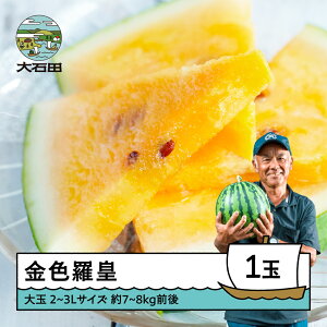 yӂ邳Ɣ[Łz  Fc 2`3L×1ʓ 2026NY ߘa8NY  XCJ ΓcY 7{珇 gt-sukrx2