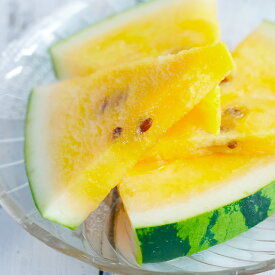 【ふるさと納税】すいか 大玉 金色羅皇 3L×1玉入り 2025年産 令和7年産 送料無料 スイカ 大石田町産 8月上旬から順次発送 gt-sukrx3