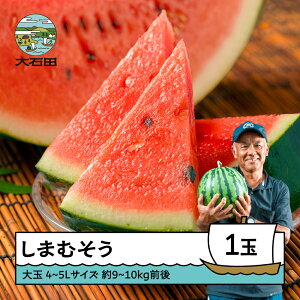 yӂ邳Ɣ[Łz  4`5L×1ʓ 2026NY ߘa8NY  XCJ ΓcY 7{珇 gt-susmx4