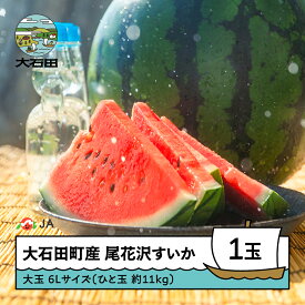 【ふるさと納税】先行予約 尾花沢すいか 大玉 6L×1玉入り 2026年産 令和8年産 送料無料 スイカ 大石田 ja-suooa6 ※沖縄・離島への配送不可
