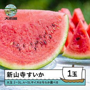 �y�ӂ邳�Ɣ[�Łz������ �I�ׂ� ��ʂ����� ��Γc�� �V�R�������� 2~3L�E4~5L×1�ʓ��� 2026�N�Y �ߘa8�N�Y �������� �X�C�J yd-suoxx