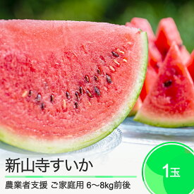 【ふるさと納税】大玉 すいか 【ご家庭用】 新山寺すいか 約6〜8kg前後 1玉入り 2025年産 令和7年産 送料無料 スイカ 山形県 大石田町 yd-suwxx