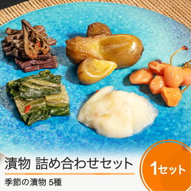 【ふるさと納税】季節の漬物 詰め合わせセット 5種 つけもの 漬け物 国産 山形 大石田 ギフト 食べ物 贈り物 お取り寄せ おつまみ 酒の肴 ご飯の供 ご当地 なす ぺそら漬 大根 わらび 青菜 やたら漬 きゅうり 菊 赤かぶ たくあん