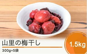 yӂ邳Ɣ[Łz̉R̔~ 1.5kg (300g×5)  ς ς Ē  Γc no-tuumx1500