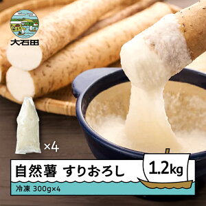 yӂ邳Ɣ[Łz R ፑ炿̎R 肨낵 300g×4 v1200g R`Y Γc oz-zisox1200