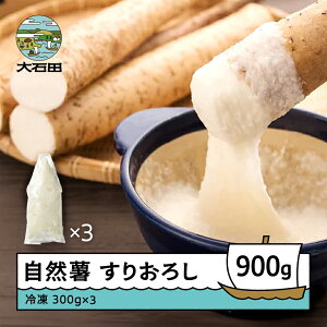 yӂ邳Ɣ[Łz R ፑ炿̎R 肨낵 300g×3 v900g R`Y Γc oz-zisox900