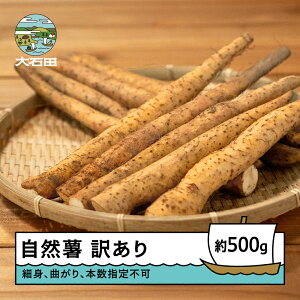 yӂ邳Ɣ[Łz R 󂠂 ፑ炿̎R 500g    R`Y oz-ziwxx500
