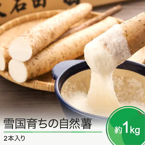 yӂ邳Ɣ[ŁzR`Y R ፑ炿̎R 1kg 2{  oz-zixxx1