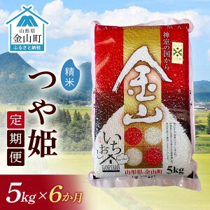 yӂ邳Ɣ[Łzߘa7NYsցtRY P yāz5kg×6 v30kg 6      uh P  k R` R F4B-0669